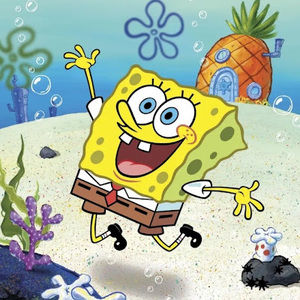 Meet your Posher, Josh